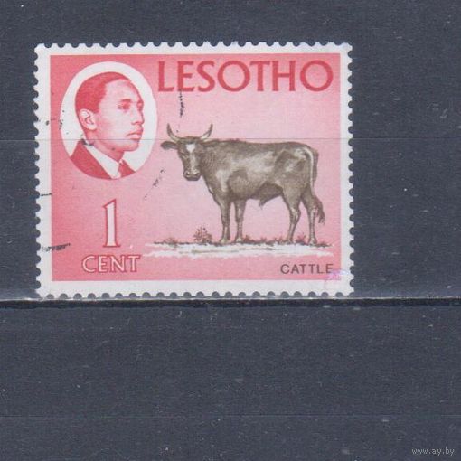 [694] Лесото 1967. Фауна.Домашние животные.Корова. Гашеная марка.