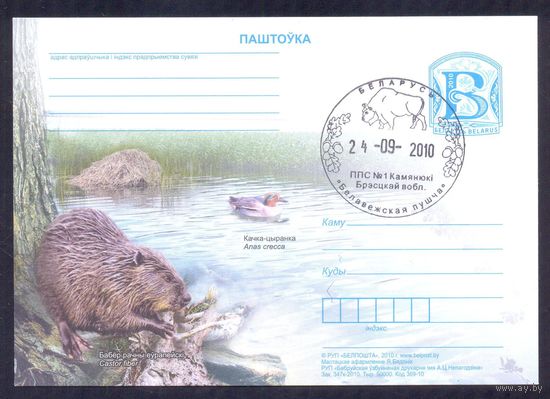 Беларусь 2010 ПК с "В" с СГ "Беловежская пуща" зубр бобр фауна
