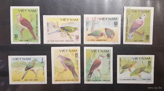 Вьетнам. 1980 год. Фауна. Птицы. Голуби. Беззубцовка (333)