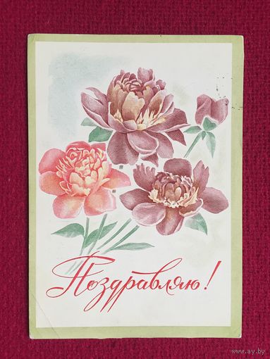 Поздравляю! Лукьянов 1976 г.