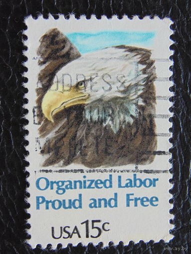 США 1980 г.