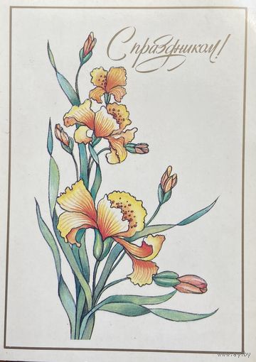 Открытка 8 Марта чистая