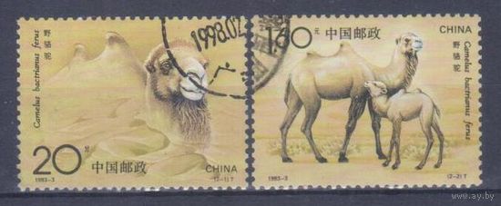 [1026] Китай КНР 1993. Фауна.Верблюд. Гашеная серия.