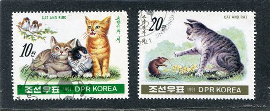 КНДР. Фауна. Кошки