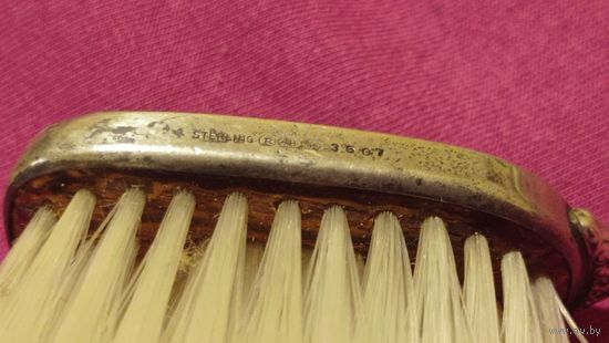 Гребешок серебряный