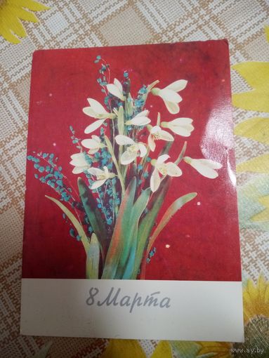 Открытка. 8 марта. Фото И. Дергилева. 1990 год.
