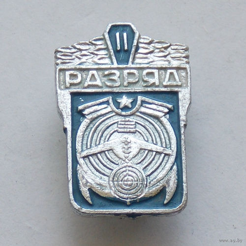 Значок 2 разряд по военно-техническим видам спорта.