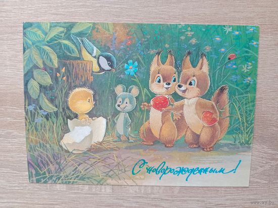 Зарубин 1991 чистая