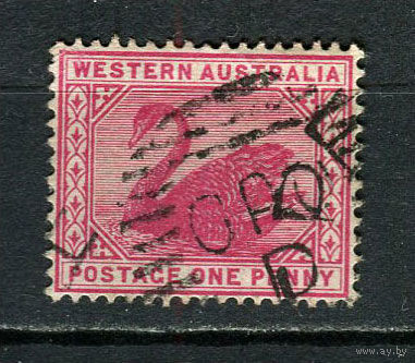 Западная Австралия (штат) - 1898/1907 - Лебедь 1Р - [Mi.44] - 1 марка. Гашеная.  (Лот 11HW)-TG3P20