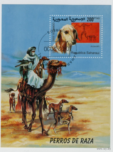 2000 Республика Сахара   собаки.