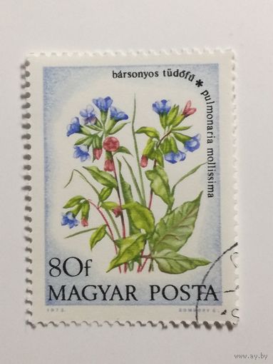 Венгрия 1973. Полевые цветы
