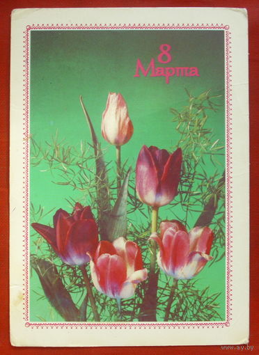 8 марта! Подписанная. 1989 года. Дергилева. 554.