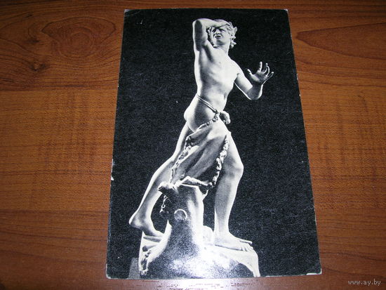 Эрмитаж Орфей чистая