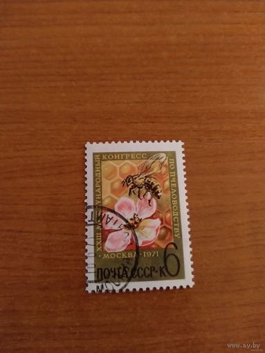 1971 СССР Загорский 3923 фауна выпускалась одиночкой MNH** (с-2)