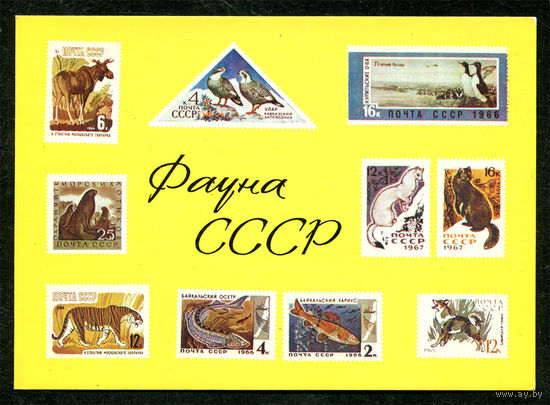 Фауна СССР. 1975. Филателия на открытках