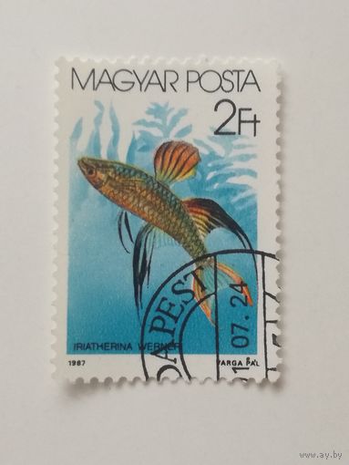 Венгрия 1987. Рыбки