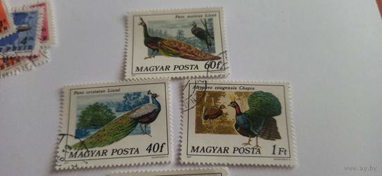 Венгрия 1977