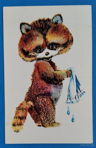 Манилова Л. Енот. 1979 г. Чистая.