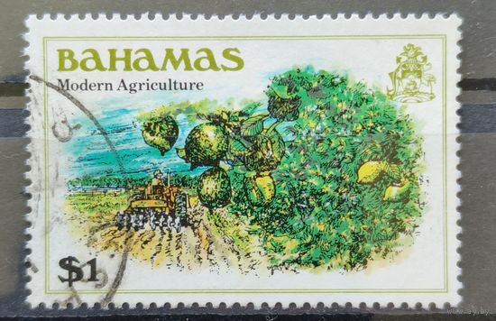 Багамские острова 1980г.