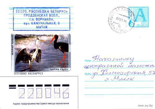 2003. Конверт, прошедший почту "Птицы Беларуси. Серая цапля. Черный аист"