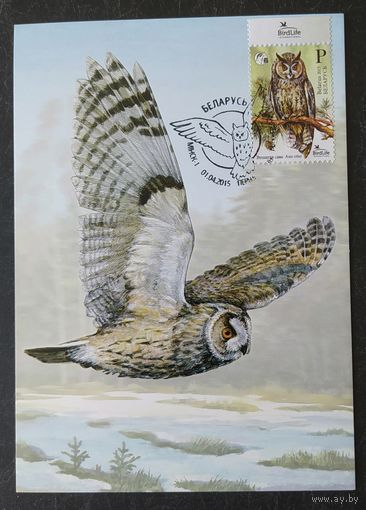 Беларусь 2015 КМ Ушастая сова, птица года.