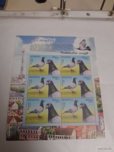 Беларусь 2011 голубь