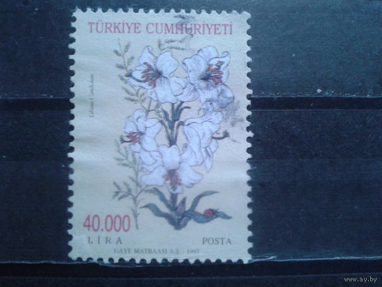 Турция, 1997. Лилия Мадонна