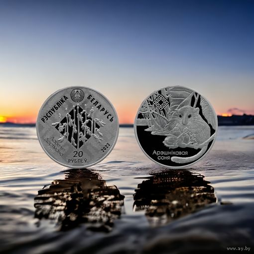 Свитязянский ("Свіцязянскі"). Орешниковая соня. Серия "Заказники Беларуси", 20 рублей 2023, серебро РЕДКОСТЬ! МАЛЫЙ ТИРАЖ!