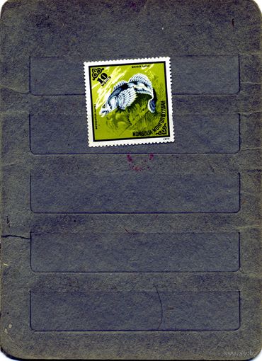 МОНГОЛИЯ, 1975, ФАУНА,    1м  чистая