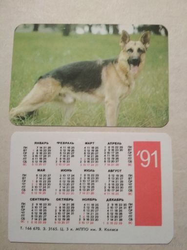 Карманный календарик. Собака. 1991 год