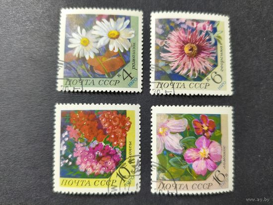 1970 СССР. Цветы