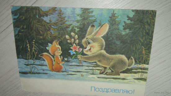 ОТКРЫТКА с провизорам .