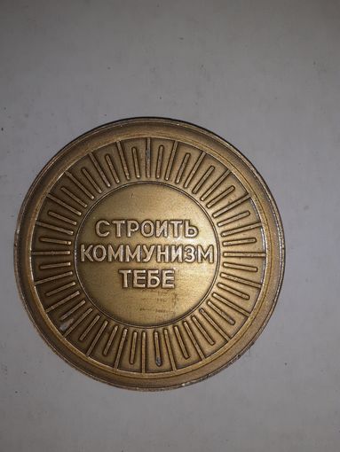 Сувенирная медаль родившемуся в Бобруйске