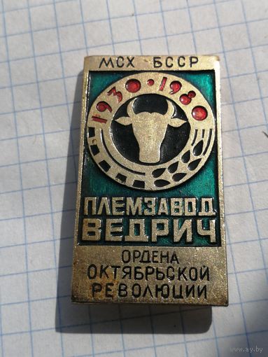 Племзавод Ведрич сельское хозяйство