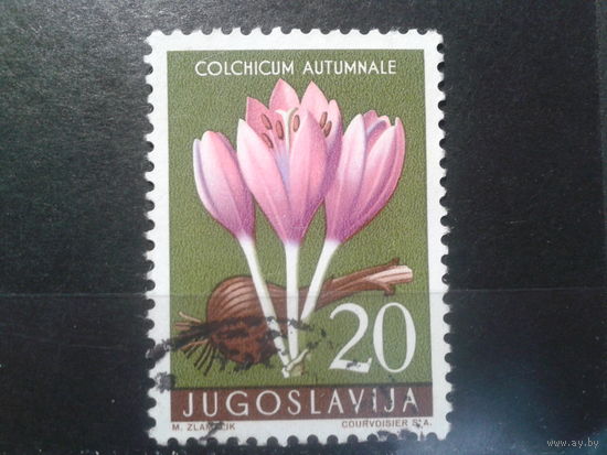 Югославия, 1957. Колхикум осенний