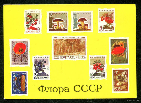 Флора СССР. 1975. Филателия на открытках