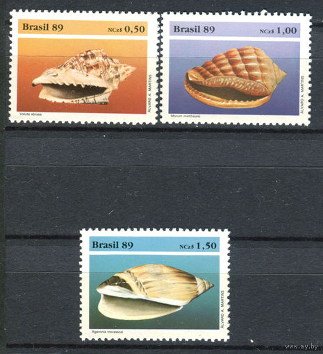Бразилия - 1989г. - ракушки - 3 марки - полная серия, MNH [Mi 2318-2320]. #O-Se-Z-1-1