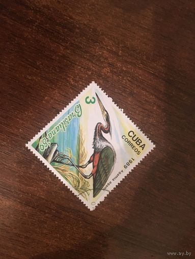 Куба 1989. Фауна. Цапля