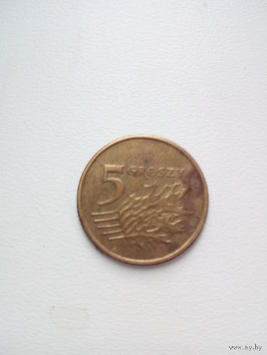 5 грошей 2009 Польша
