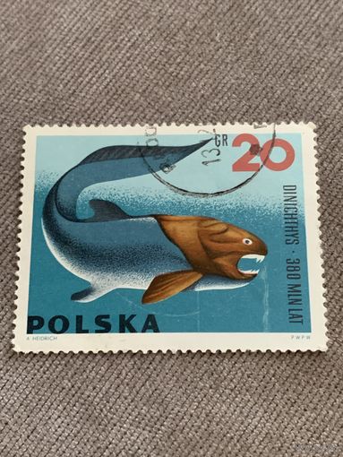 Польша. Dinichthys. Доисторические животные. Марка из серии