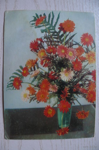 Калопов А., Букет, чистая (изд. Болгария).