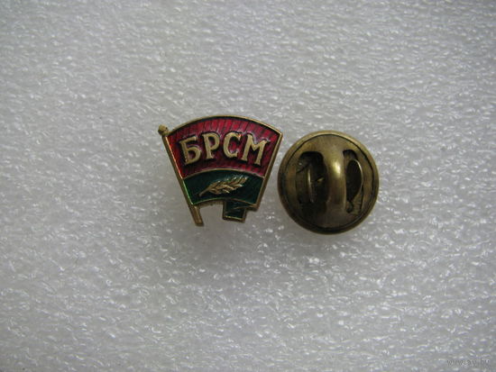Знак. БРСМ (1)