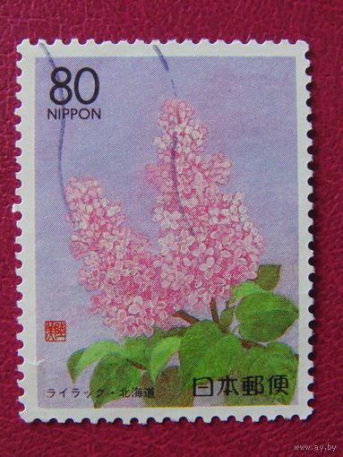 Япония. Флора.