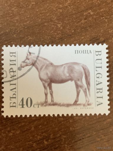 Болгария 1991. Домашний скот. Конь. Марка из серии
