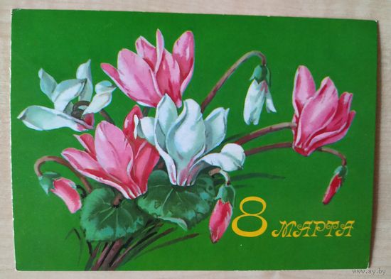 Открытка Г. Куртенко 1978