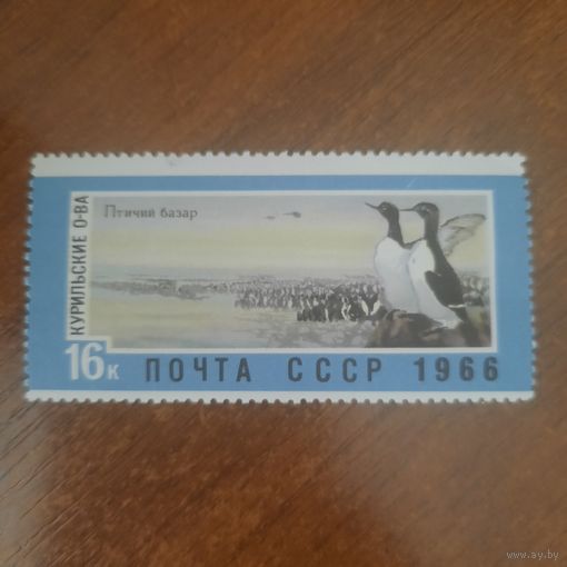 СССР 1966. Курильские острова. Птичий базар. Марка из серии