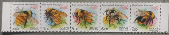 Россия. 2005г. Шмели. Сцепка.