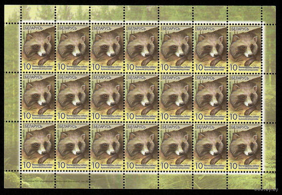 Беларусь. 2008. Стандарт. Енотовидная собака (10р) (з.20-2011) Лист