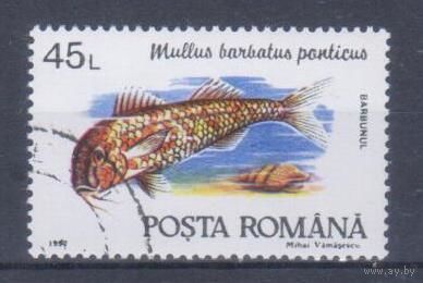 [1559] Румыния 1992. Фауна.Рыба. Гашеная марка.