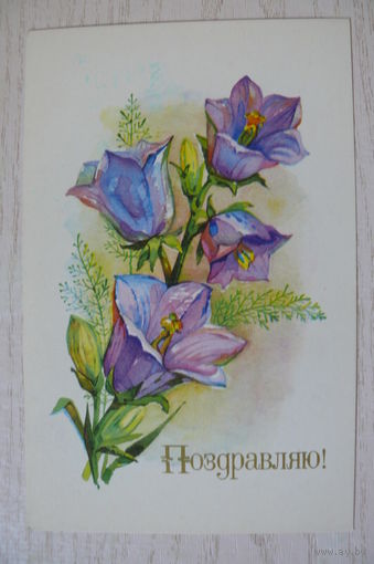 Александров В., Поздравляю! 1977, подписана.
